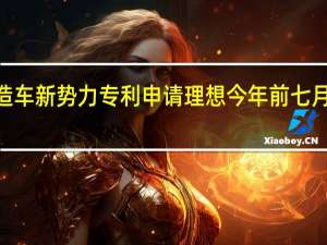 “蔚小理”领衔造车新势力专利申请理想今年前七月数量已接近去年总和