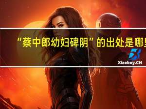 “蔡中郎幼妇碑阴”的出处是哪里
