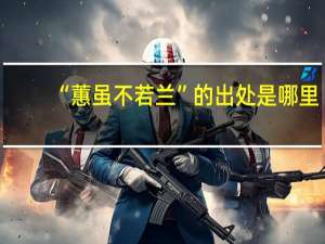 “蕙虽不若兰”的出处是哪里