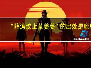 “薛涛坟上草萋萋”的出处是哪里