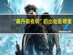 “藏丹彻夜明”的出处是哪里