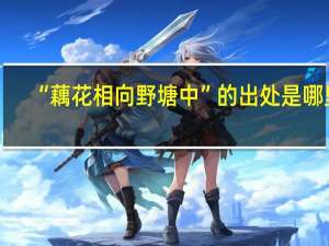 “藕花相向野塘中”的出处是哪里