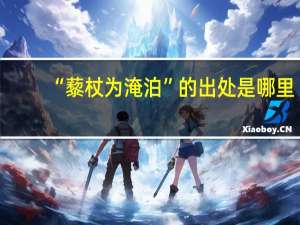 “藜杖为淹泊”的出处是哪里