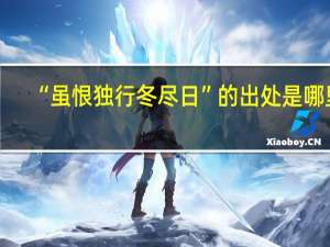 “虽恨独行冬尽日”的出处是哪里