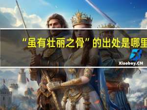 “虽有壮丽之骨”的出处是哪里