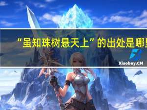 “虽知珠树悬天上”的出处是哪里