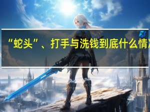 “蛇头”、打手与洗钱 到底什么情况嘞