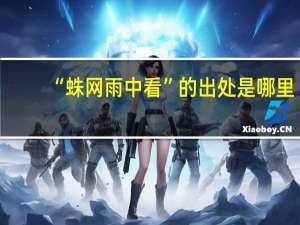 “蛛网雨中看”的出处是哪里