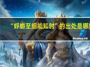 “蜉蝣至细能知时”的出处是哪里