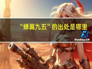 “蝉翼九五”的出处是哪里