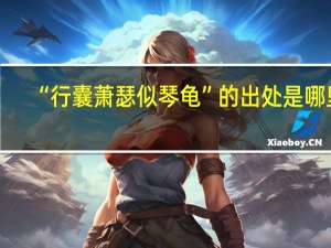 “行囊萧瑟似琴龟”的出处是哪里