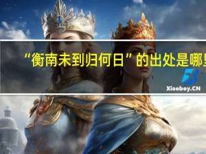 “衡南未到归何日”的出处是哪里
