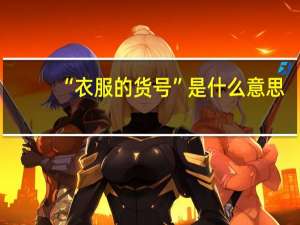 “衣服的货号”是什么意思