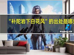 “补陀岩下白花风”的出处是哪里