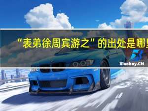 “表弟徐周宾游之”的出处是哪里