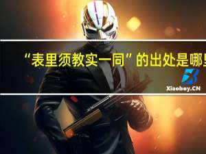 “表里须教实一同”的出处是哪里