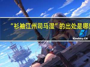 “衫袖江州司马湿”的出处是哪里