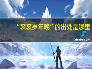 “衮衮岁年晚”的出处是哪里