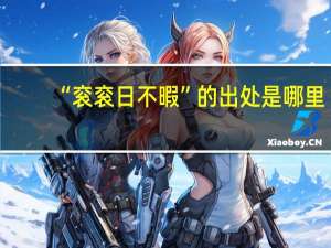 “衮衮日不暇”的出处是哪里