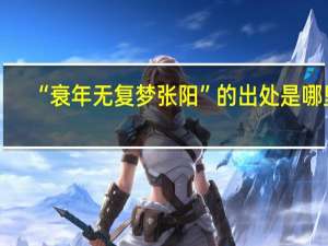 “衰年无复梦张阳”的出处是哪里