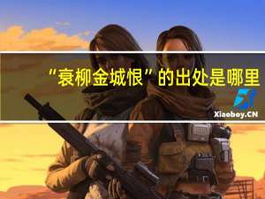 “衰柳金城恨”的出处是哪里