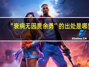“衰病无因贾余勇”的出处是哪里