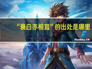 “衰白亦相宜”的出处是哪里