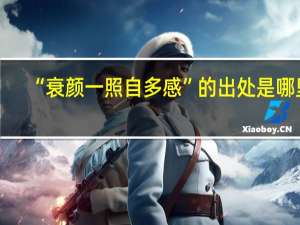 “衰颜一照自多感”的出处是哪里