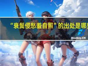 “衰鬓侵愁羞自照”的出处是哪里