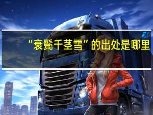 “衰鬓千茎雪”的出处是哪里