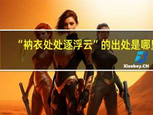 “衲衣处处逐浮云”的出处是哪里