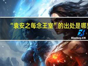“袁安之每念王室”的出处是哪里