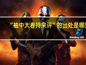 “袖中大卷持来评”的出处是哪里