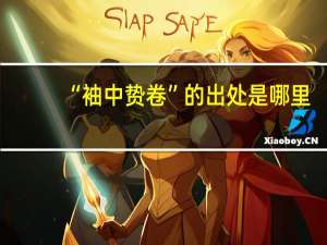 “袖中贽卷”的出处是哪里