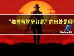 “袖香曾枕醉红腮”的出处是哪里