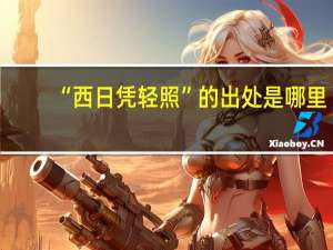 “西日凭轻照”的出处是哪里