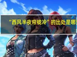 “西风半夜帘栊冷”的出处是哪里