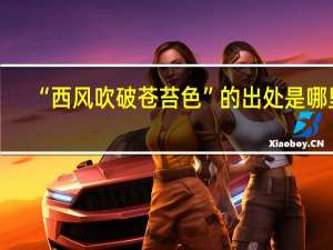 “西风吹破苍苔色”的出处是哪里
