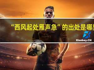 “西风起处雁声急”的出处是哪里