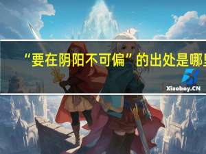 “要在阴阳不可偏”的出处是哪里