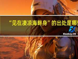 “见在凄凉海畔身”的出处是哪里