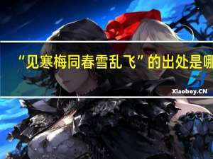 “见寒梅同春雪乱飞”的出处是哪里