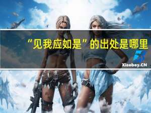 “见我应如是”的出处是哪里