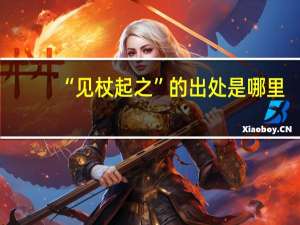 “见杖起之”的出处是哪里