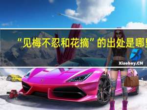 “见梅不忍和花摘”的出处是哪里