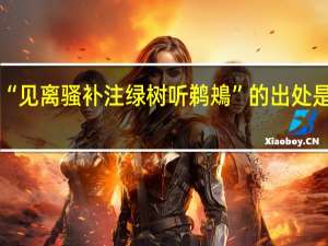 “见离骚补注绿树听鹈鴂”的出处是哪里