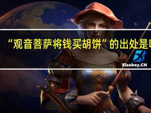“观音菩萨将钱买胡饼”的出处是哪里