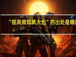“视其细知其大也”的出处是哪里