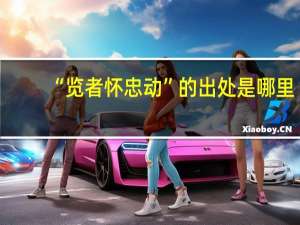“览者怀忠动”的出处是哪里