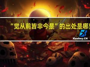“觉从前皆非今是”的出处是哪里
